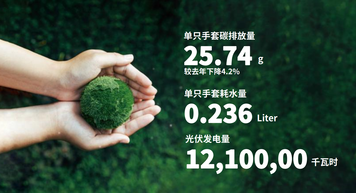 Stake注重绿色发展和社会责任